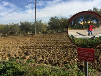 Zondagochtend wandeling naar Corinaldo