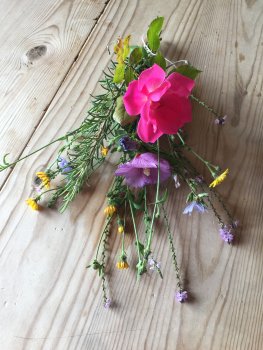 Bloemen voor Maria Goretti