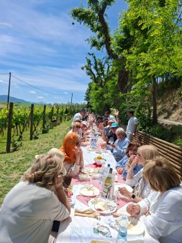 Een weekend lang wijn proeven in Le Marche
