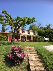 Is hier een goudschat begraven?